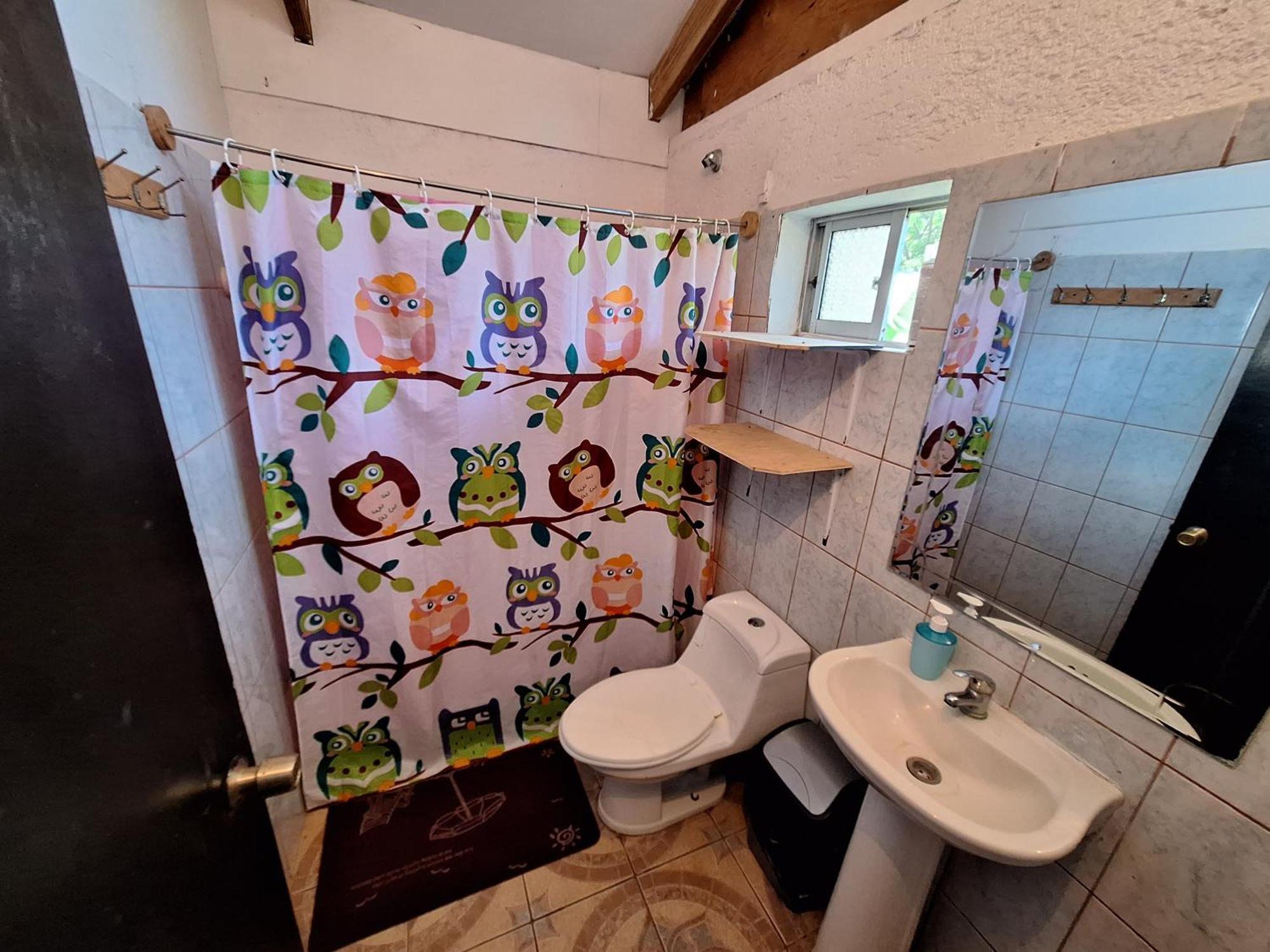 Cabanas Puna Poho Hanga Roa Ngoại thất bức ảnh